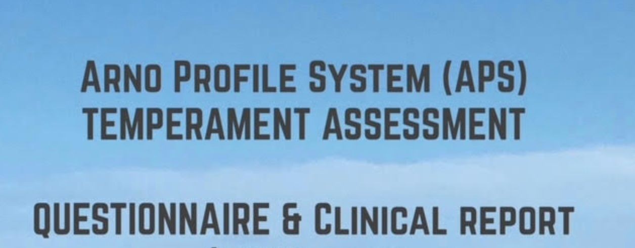 APS Temperament Assessment - Questionnaire & Clinical Report